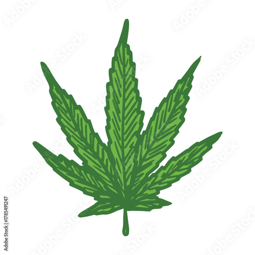 Hand drawn cannabis leaf Medicine marijuana Hemp leaves clipart in doodle style Single element for print, web, design, decor
