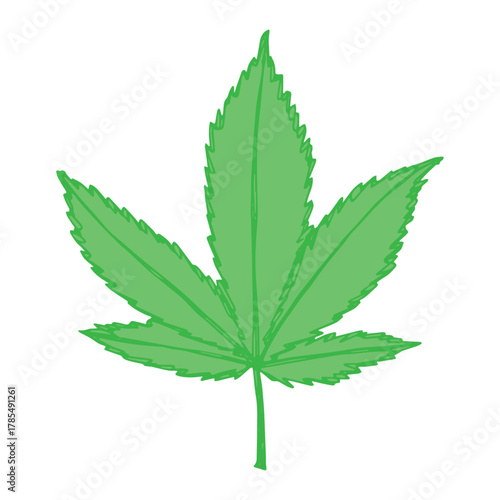 Hand drawn cannabis leaf Medicine marijuana Hemp leaves clipart in doodle style Single element for print, web, design, decor
