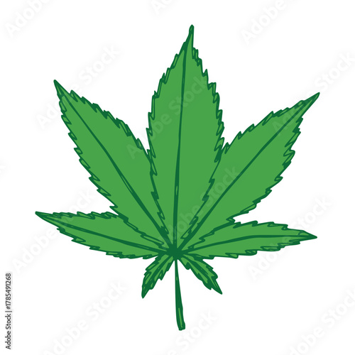 Hand drawn cannabis leaf Medicine marijuana Hemp leaves clipart in doodle style Single element for print, web, design, decor