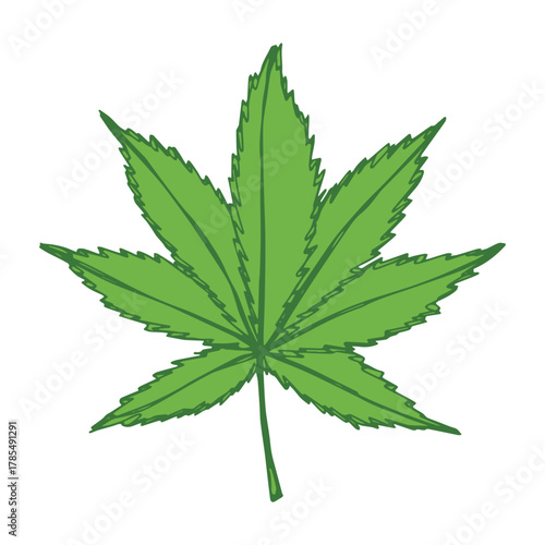 Hand drawn cannabis leaf Medicine marijuana Hemp leaves clipart in doodle style Single element for print, web, design, decor
