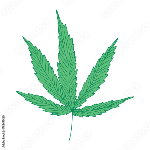 Hand drawn cannabis leaf Medicine marijuana Hemp leaves clipart in doodle style Single element for print, web, design, decor