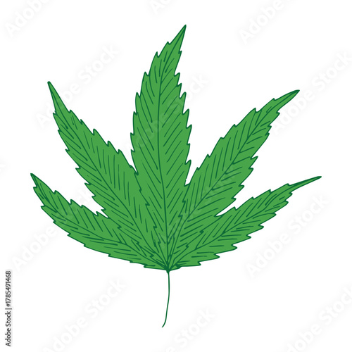 Hand drawn cannabis leaf Medicine marijuana Hemp leaves clipart in doodle style Single element for print, web, design, decor