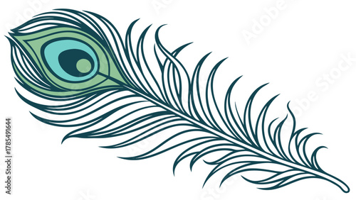Illustration of a single peacock feather with blue and green colors on a white background on transparent background silhouette