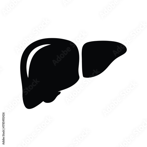 Human Liver Silhouette Flat Vector Icon
