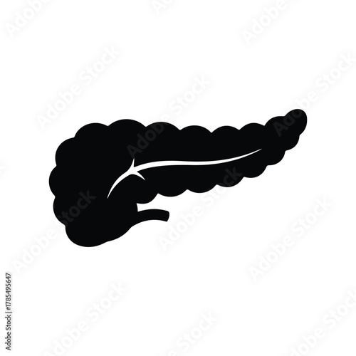 Human Pancreas Silhouette Flat Vector