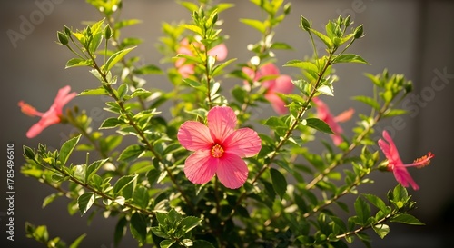 A vivid pink hibiscus in full bloom stands out against lush green foliage, its delicate petals and prominent stamen capturing the essence of tropical beauty and botanical elegance.
