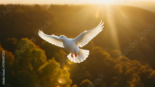 Paloma blanca volando majestuosamente al amanecer sobre un paisaje boscoso con rayos de sol dorados.