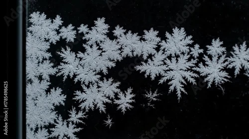 Organic Ice Formation with beautiful window freezing animation from borders to center timelapse frost forming transition natural crystal icing isolated on black background and white luminance matte