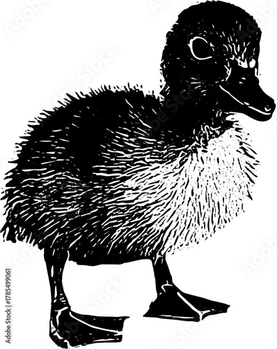 silhouette of little duck svg