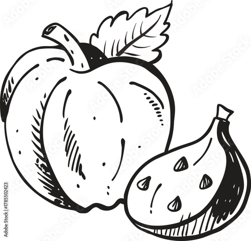 Hand-drawn sketchy pumpkin and halved fig vector illustration art