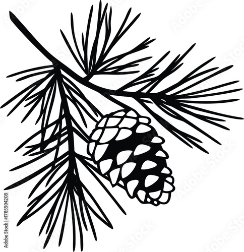 Solid black empty background, minimalist dark abstract texture