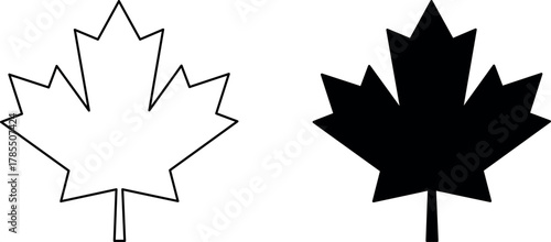 Maple leaf. Linear, silhouette isolated on white background. Vector illustration