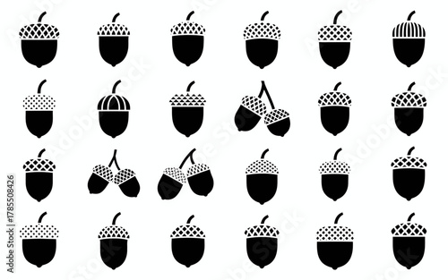 vector set of acorns