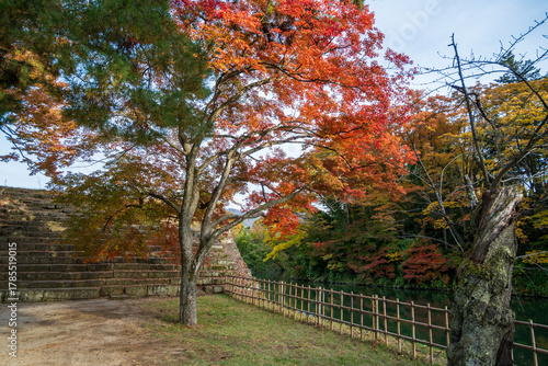 日本の福島県会津若松市の美しい秋の風景