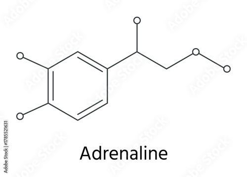 アドレナリンの化学構造式のイラストセット　ハニカム構造