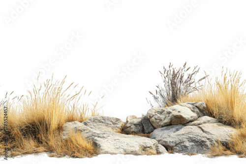 Dry golden grass and rough grey rocks on black background image