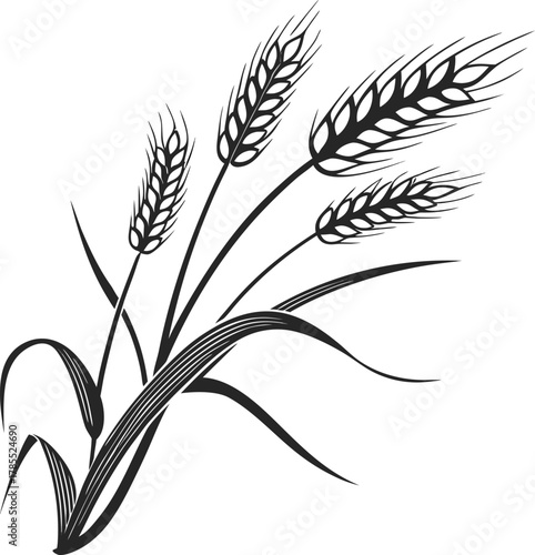 Stylized wheat plant stalks with grain and leaves illustration