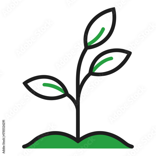 tree with green leaves