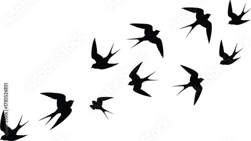 Swallow bird silhouette icon set, flying bird vector illustration, motion and flight design, wildlife graphic, nature symbol art, avian outdoor collection