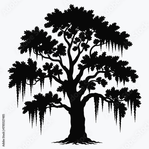 Majestic silhouette of southern live oak tree adorned with hanging Spanish moss, isolated on white background, elegant nature illustration for landscape, botanical, and outdoor design projects.