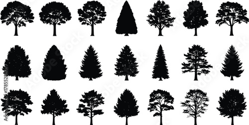 Tree silhouette icon set, diverse forest vector illustration, deciduous and evergreen design, botanical graphic art, landscape architecture symbol, nature foliage collection