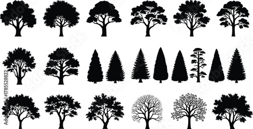 Tree silhouette icon set, forest vector illustration, deciduous and evergreen design, landscape graphic, nature symbol art, botanical outdoor environment collection