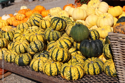 striped pumpkins