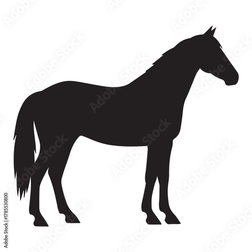 Standing Horse Silhouette animal mammal
