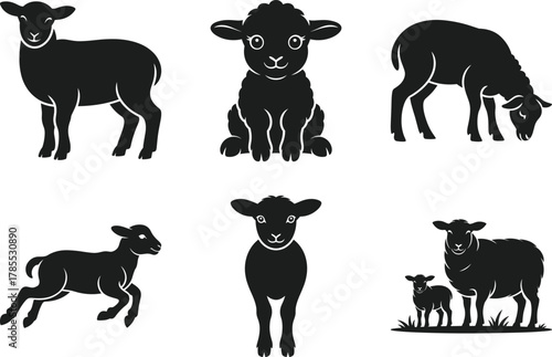 Sheep and Lamb Silhouette Vector Set – Farm Animal Illustration Collection
