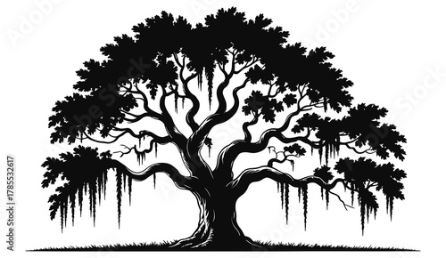 Majestic live oak silhouette with Spanish moss, isolated on white, detailed southern tree design perfect for landscape, garden, nature, and southern-inspired graphic artwork.