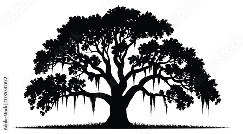 Majestic southern live oak tree silhouette with Spanish moss clinging to branches, isolated on white background, elegant nature illustration for landscape, botanical, and outdoor design projects.