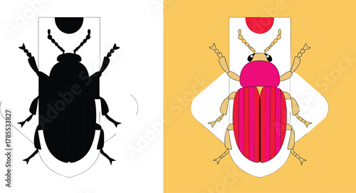 Vibrant beetle duo in contrasting monochrome and vivid color schemes, perfect for science publications and educational materials about insects and life cycles