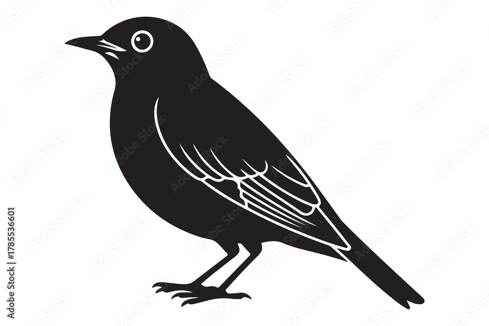Fototapeta premium A black bird silhouette with white eye and wing details standing on white background silhouette