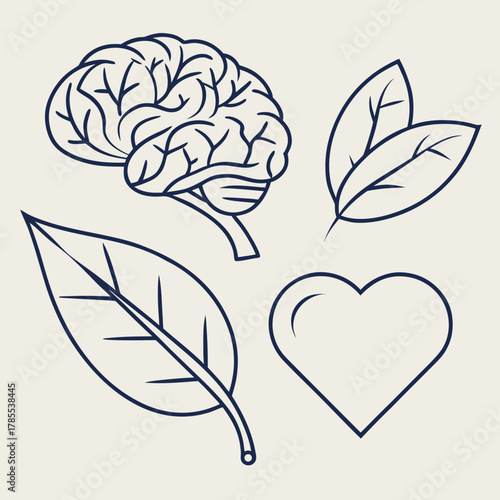 Illustration of a brain, leaves, and heart, symbolizing intellect, nature, and emotion, representing holistic wellbeing