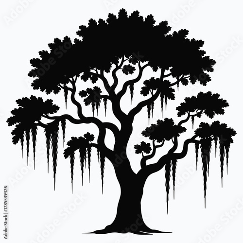 Silhouette of large majestic southern live oak tree with Spanish moss hanging gracefully, isolated on white background, elegant nature illustration for landscape, botanical, and outdoor design project