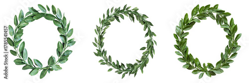 A set of three green wreath illustrations with leaf elements