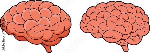 human brain illustration, neuroscience concept art, intelligence design vector, psychology symbol clipart, mind knowledge drawing, brain anatomy design, medical education vector, creative brain art, i