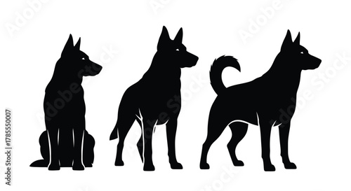 Three sleek dog silhouettes standing alert against a clean white backdrop