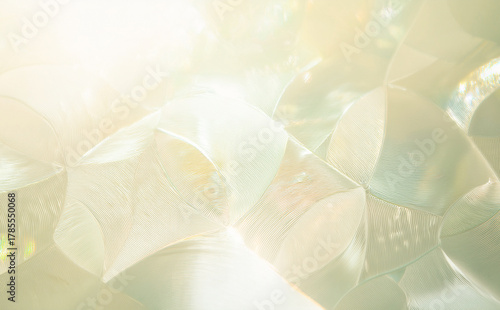 綺麗な黄緑の背景	
