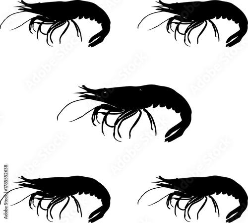 black shrimp set silhouette