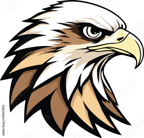 Bald eagle head in profile with sharp beak and intense gaze vector illustration