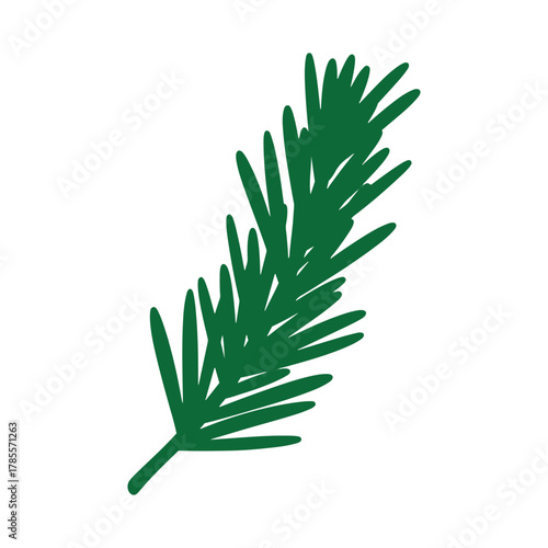 Rosemary herb sprig vector doodle style illustration for culinary
