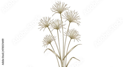 Wallpaper Mural Elegant papyrus plant illustration with delicate golden lines on a white background. Torontodigital.ca