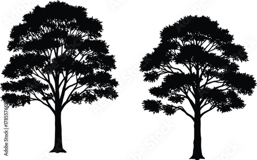 Silhouette of two realistic trees, natural forest landscape design, black tree illustration, nature element for background, eco environment concept vector