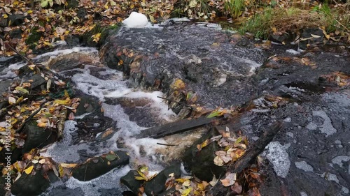Foamy sewer water cascades over stones amid fallen leaves in a wooded area