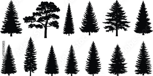 Tree silhouettes vector set, pine, fir, oak, forest elements, black outline, coniferous shapes, nature icons, landscape design, clipart