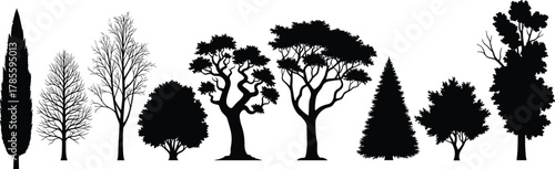 Tree silhouette collection, diverse foliage shapes, botanical vector, landscape design reference, black and white sketch, nature illustration, line art