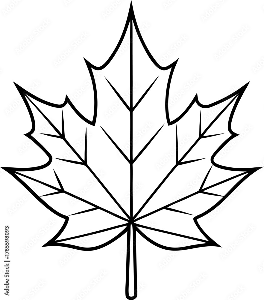 Obraz premium Detailed maple leaf outline on transparent backdrop for seasonal illustration with simple autumn vector exactly 160 characters