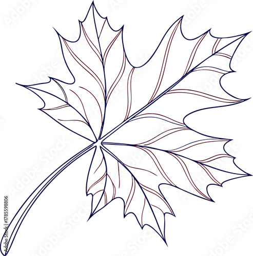 Autumn leaf vector illustration design fall season maple leaf foliage outline nature november plant october seasonal tree forest