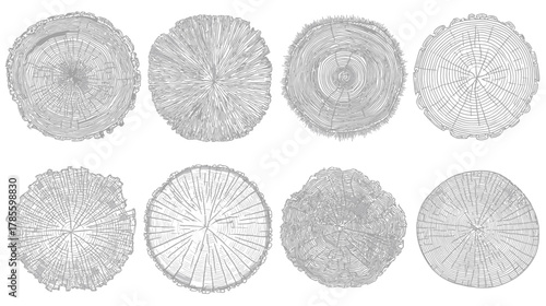 Eight hand-drawn tree trunk cross sections illustrating detailed annual growth rings and natural wood texture.